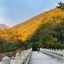 국수나무 원주단구점 | 강원도 여행지 추천 15선｜현지인도 추천하는 강원 명소 리스트
