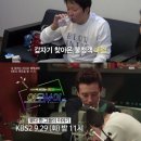 여우사이