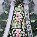 중앙장의사 이미지