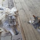 태승농장 이미지