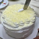 맘모스인터내셔널 | [정자역케이크] 지유가오카브레드 분당정자역점 ㅣ 수제 케이크 맛집