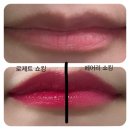 [토니모리 퍼펙트립스 쇼킹립 틴트] N11 로제트쇼킹, N12 페어리쇼킹 지속력 발색 후기, 내돈내산