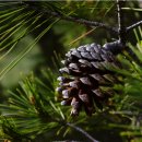 동양덴탈 이미지