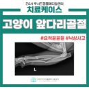 정동물병원 이미지