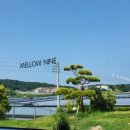 천씨씨금산점 네이버블로그