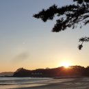 원북농협주유소 이미지