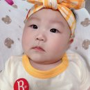 베베드피노 애플봉봉 베이비 체크 바디수트세트