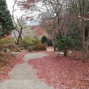 장천재체육공원 네이버블로그