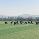 배뫼산축구장 이미지