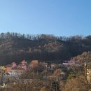 원 스테이 이미지