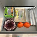 전남 장성 펜션 단체 즐거웠던 독채 달빛펜션 추천 (바베큐장 편해)