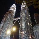 반딧불 프리미엄 이미지