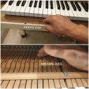 차동개 | 동인천동 신포동 연안 동 신흥동 도원동 율목 동개 항동 용유동 피아노 조율 수리 후 아름다운 피아노...