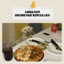 엘리앤크리스피자 이미지