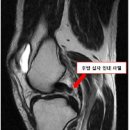 성모메디트레이닝센터