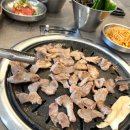 우현한우한돈
