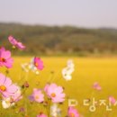 대덕2통마을회관 이미지