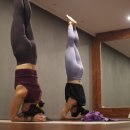 바디핏 요가 이미지