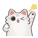 이쁘냥 고양이 미용실 이미지