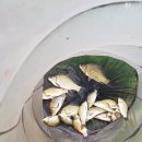 학동제일 이미지