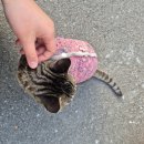 월드세차장 이미지