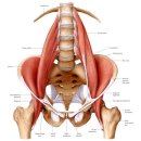 소운소 Ark Gym 이미지