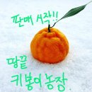 봉이농장 이미지