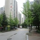 회룡로 이미지