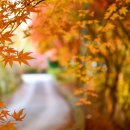 거창 항노화 힐링랜드 이미지