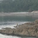 막골통나무펜션