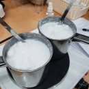 반려견 천연 아로마 테라피 이미지