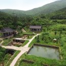 보길면-3 | 四字成語 총정리 <ㅂ> 280 보기생진~보도관제