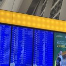 슈퍼스타 멀티 짐 | ETIHAD 에티하드항공 EY85 아부다비 AUH - 로마 FCO 이코노미 경유 레이오버 후기