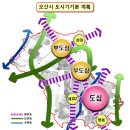 오산2천 이미지