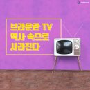 브라운관