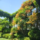 천호역10번출구앞 이미지