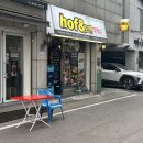 호팬치키니 이미지