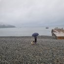 거제꽃날펜션.리조트 이미지