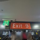 강남역 핫도그 백종원 푸드트럭 서초강산스토리(이전 예정)