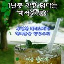 일년중 제일 더운 날 &#39;대서(大暑)&#39; 이미지