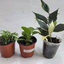 만원에행복 이미지