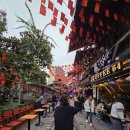 분보남보 | 하노이 기찻길 시간, 분보남보 백프응 후기