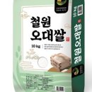 브레인풀