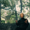 안도미술관