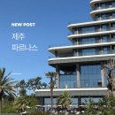 파르나스 제주 후기 객실 조식 수영장 직접 다녀온 제주 5성급 호텔