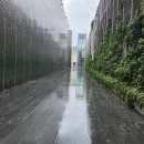 ACC 산책 | 광주 국립아시아문화전당 체험 프로그램 초록초록ACC산책 다녀온 후기