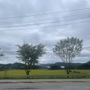 예당목장 이미지