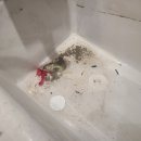 가락타운2단지 이미지