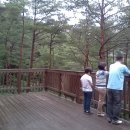 펜션티케하우스 이미지