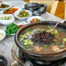 한방토종닭오리